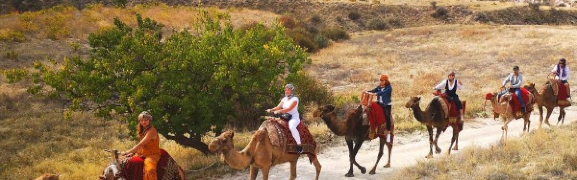 Camel Tour