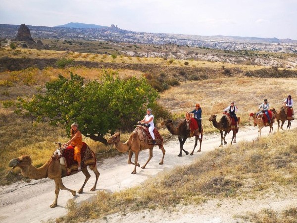 Camel Tour